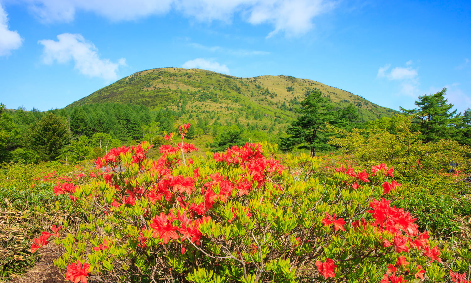 湯の丸高原
